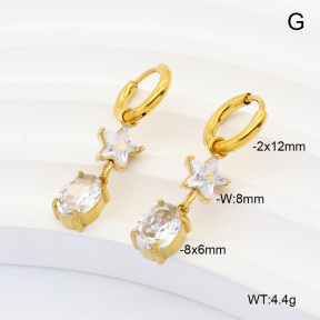 6E4004959vhkb-908  316 Pin 14K PVD Zircon  Stainless Steel Earrings