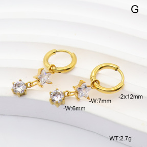 6E4004998vhkb-908  316 Pin 14K PVD Zircon  Stainless Steel Earrings