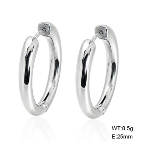 6E2007565aakj-G038  316 SS  Stainless Steel Earrings