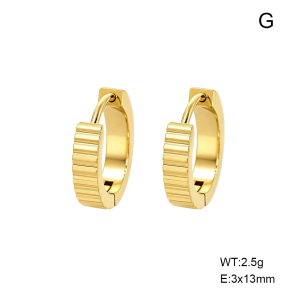 6E2007578aakl-G038  316 Pin 14K PVD,Handmade Polished  Stainless Steel Earrings