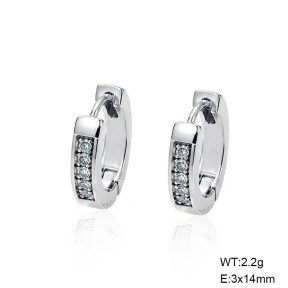 6E4005113bbln-G038  316 SS Zircon,Handmade Polished  Stainless Steel Earrings