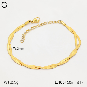 2B2006188bbml-641  Stainless Steel Bracelet