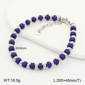 2B4006172vhhl-641  Stainless Steel Bracelet