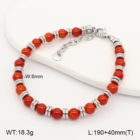 2B4006173vhhl-641  Stainless Steel Bracelet