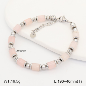 2B4006178vhhl-641  Stainless Steel Bracelet
