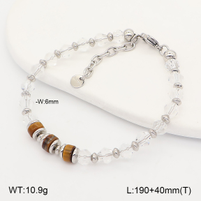 2B4006180abol-641  Stainless Steel Bracelet