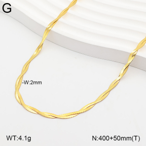 2N2009489abol-641  Stainless Steel Necklace