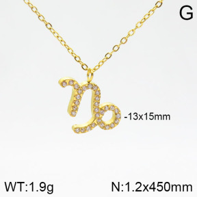 2N4001573abol-355  Stainless Steel Necklace