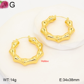 F2E202586vbmb-J191  Fashion Earrings