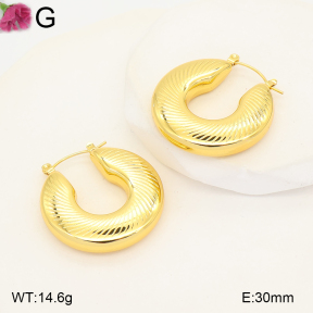 F2E202592vbmb-J191  Fashion Earrings