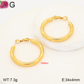 F2E202594vbmb-J191  Fashion Earrings