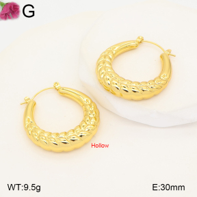 F2E202595vbmb-J191  Fashion Earrings