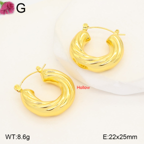 F2E202597vbmb-J191  Fashion Earrings