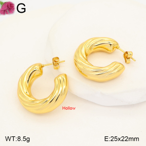 F2E202608vbmb-J191  Fashion Earrings