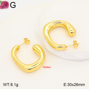 F2E202621vbmb-J191  Fashion Earrings