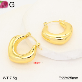 F2E202641vbmb-J191  Fashion Earrings