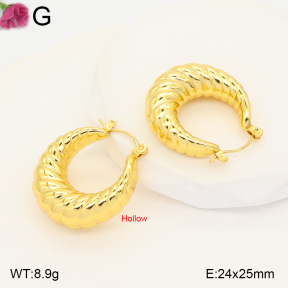 F2E202647vbmb-J191  Fashion Earrings