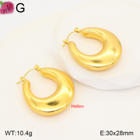 F2E202648vbmb-J191  Fashion Earrings