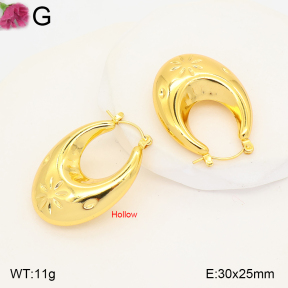F2E202649vbmb-J191  Fashion Earrings