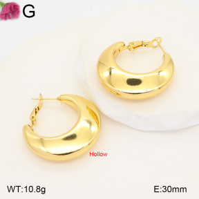 F2E202652vbmb-J191  Fashion Earrings