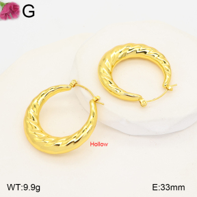 F2E202655bblo-J191  Fashion Earrings