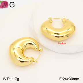 F2E202659bblo-J191  Fashion Earrings