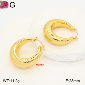 F2E202660bblo-J191  Fashion Earrings