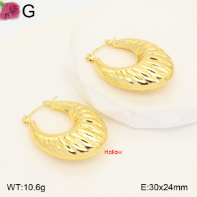 F2E202661vbmb-J191  Fashion Earrings