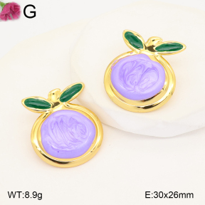 F2E301384vail-J191  Fashion Earrings