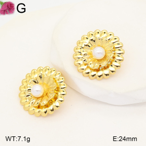 F2E301392vail-J191  Fashion Earrings
