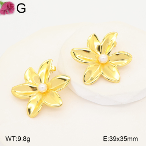 F2E301407vaia-J191  Fashion Earrings