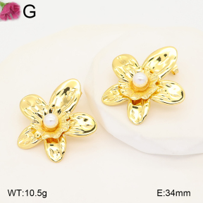 F2E301408vail-J191  Fashion Earrings
