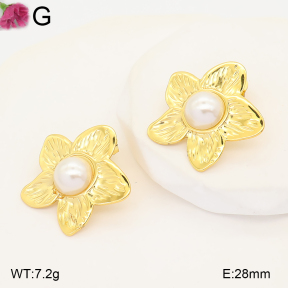 F2E301409vaia-J191  Fashion Earrings