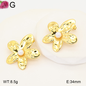 F2E301411vaia-J191  Fashion Earrings