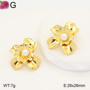 F2E301412vail-J191  Fashion Earrings