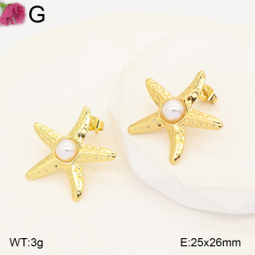 F2E301423vaia-J191  Fashion Earrings