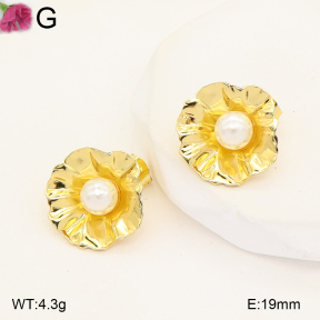F2E301428vaia-J191  Fashion Earrings