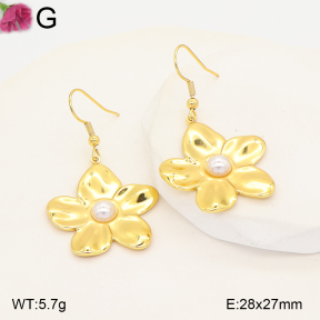 F2E301431vail-J191  Fashion Earrings