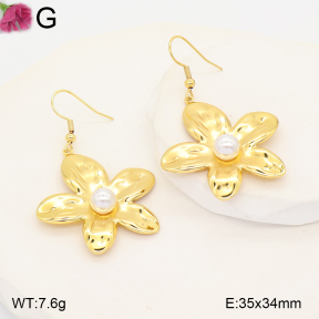 F2E301432vail-J191  Fashion Earrings