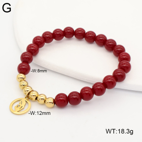 2B4006242aakl-731  Stainless Steel Bracelet