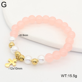 2B4006258aakl-731  Stainless Steel Bracelet