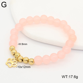 2B4006275aakl-731  Stainless Steel Bracelet