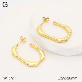 2E2007486ablb-436  Stainless Steel Earrings