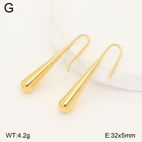 2E2007488bblj-436  Stainless Steel Earrings