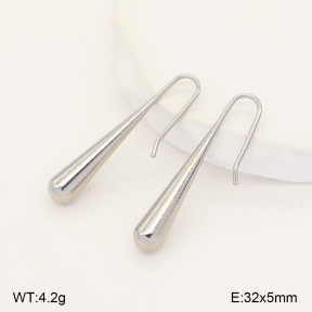 2E2007489aakj-436  Stainless Steel Earrings