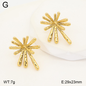2E2007490bbml-436  Stainless Steel Earrings