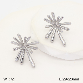 2E2007491vbll-436  Stainless Steel Earrings