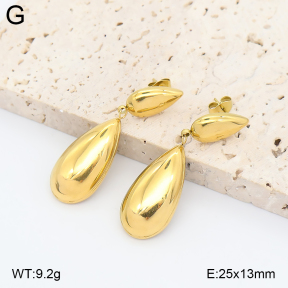 2E2007492bbov-749  Stainless Steel Earrings