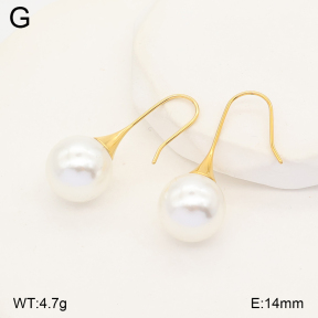 2E3004256vbmb-436  Stainless Steel Earrings