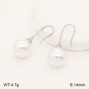 2E3004257ablb-436  Stainless Steel Earrings